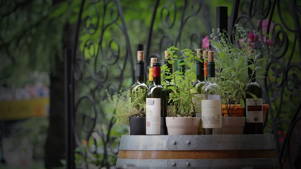 Amici restoran Beograd, autentična trattoria atmosfera